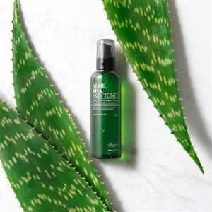 benton-aloe-bha-skin-toner-display
